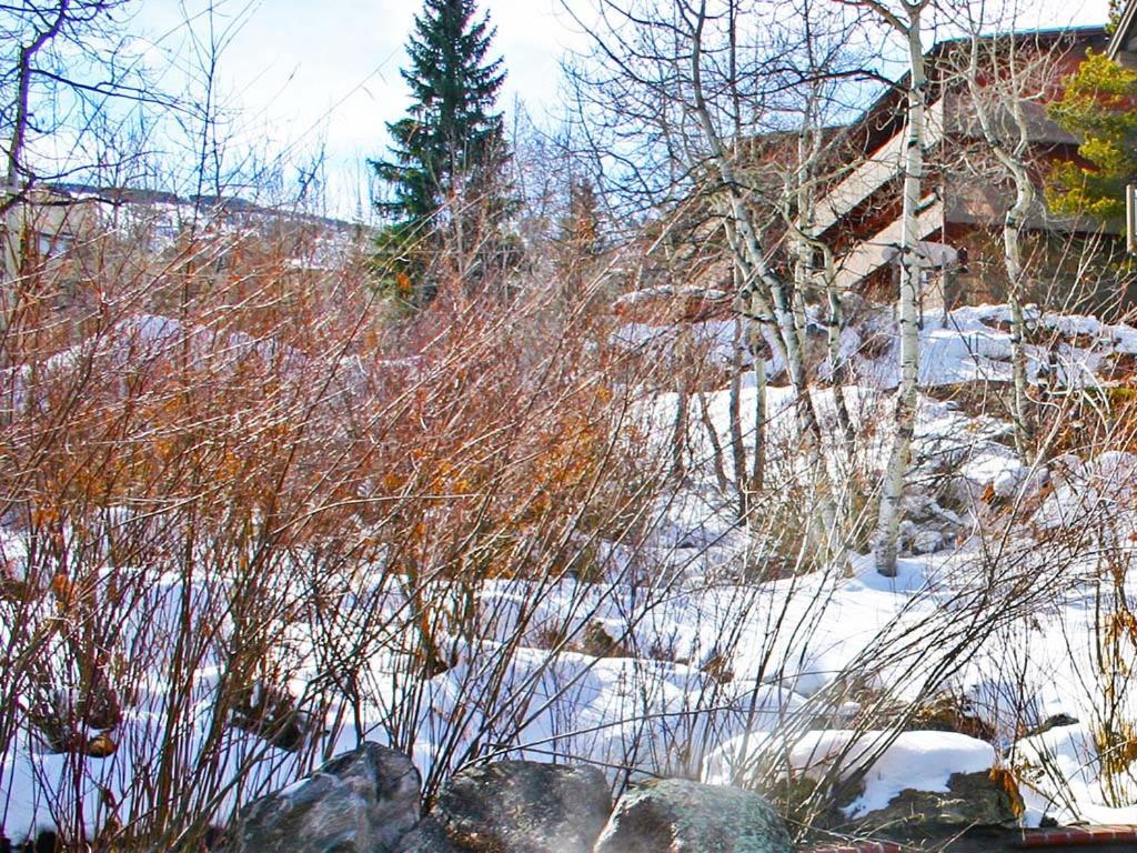 Apartament Terracehouse By Snowmass Vacations Snowmass Village Zewnętrze zdjęcie